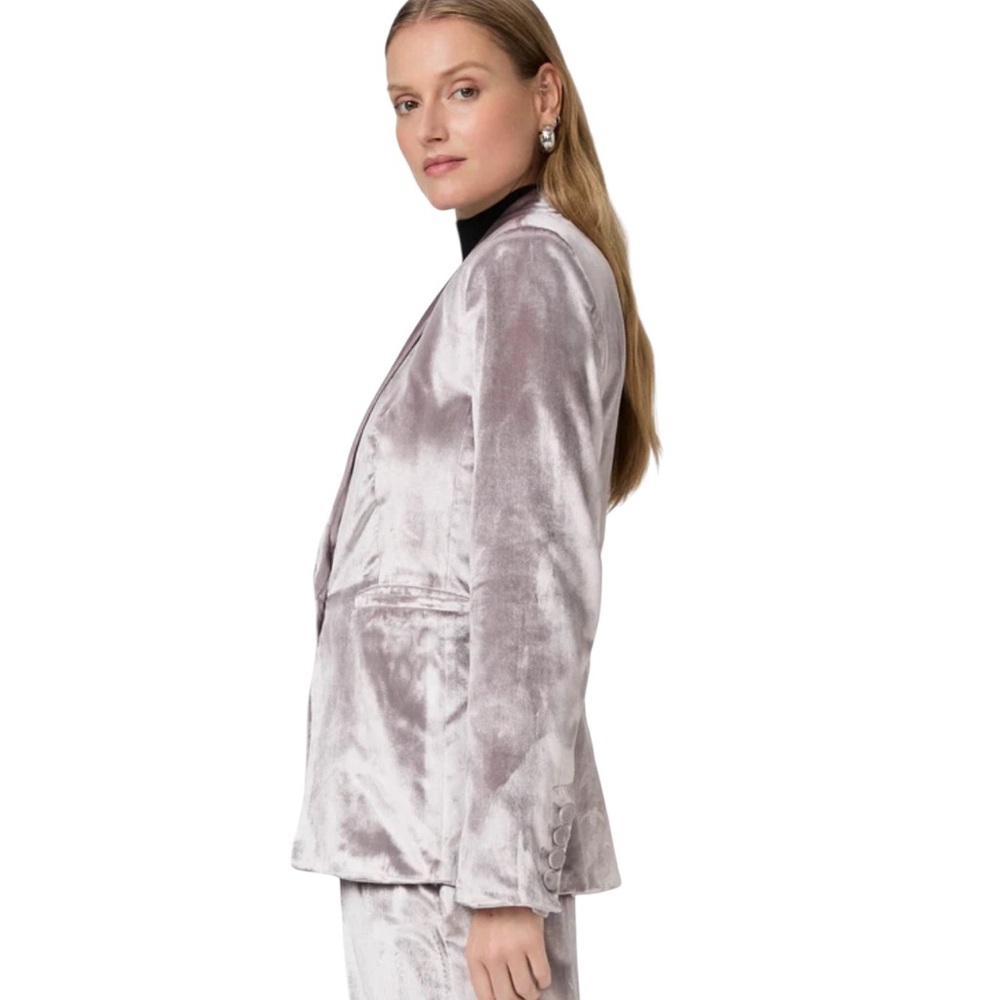 Banana Republic Silver Velvet Blazer size L 10